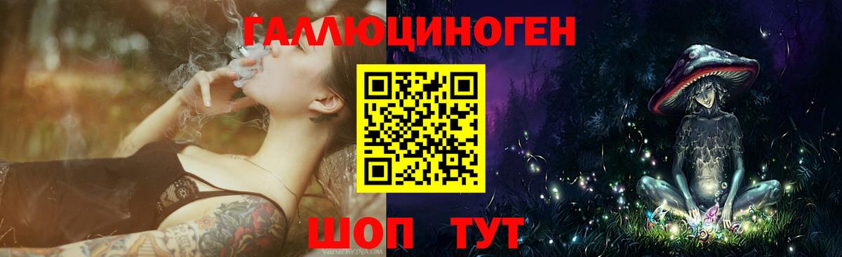 Псилоцибиновые грибы GOLDEN TEACHER  Вход с VPN  Северск 