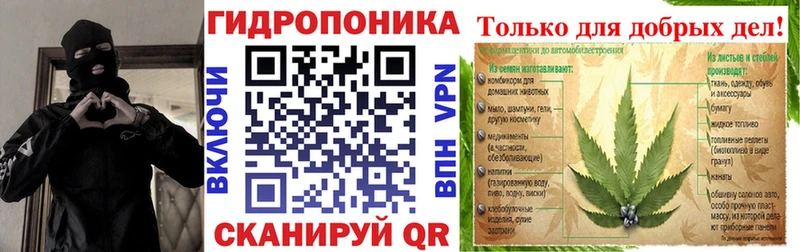 мега как зайти  что такое   Северск  МАРИХУАНА план 