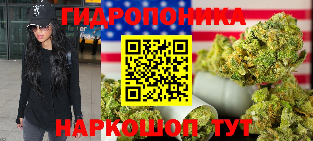 Конопля OG Kush Северск